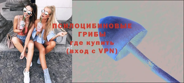 ПСИЛОЦИБИНОВЫЕ ГРИБЫ Алексин
