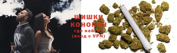 ПСИЛОЦИБИНОВЫЕ ГРИБЫ Алексин