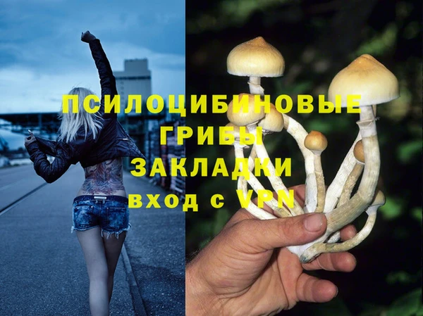 таблы Алзамай