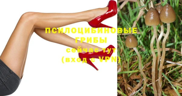 таблы Алзамай