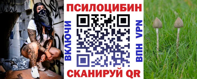 Псилоцибиновые грибы ЛСД  Себеж 